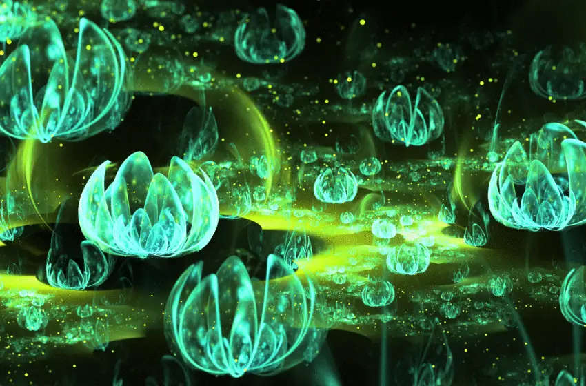  Where To See Bioluminescence
