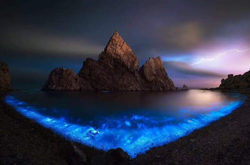  Where Is The Bioluminescent Bay In Puerto Rico