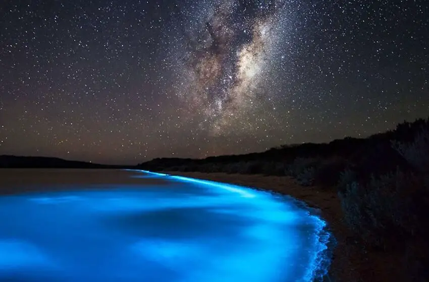  Where To See Bioluminescence In Puerto Rico