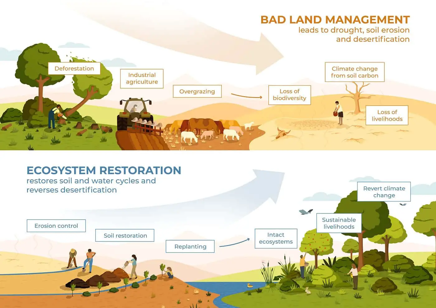  How Does Biodiversity Affect The Stability Of An Ecosystem
