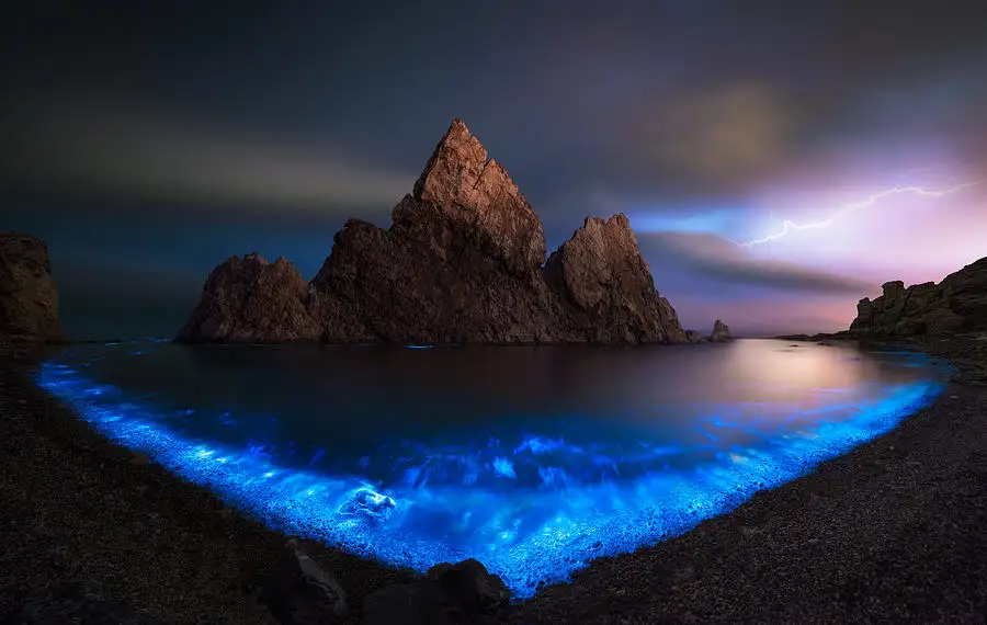  Where in Puerto Rico is the Bioluminescent Bay
