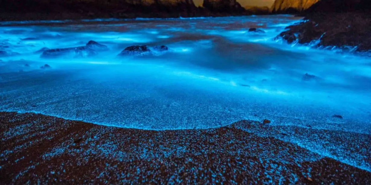 How do you go to Puerto Rico's three bioluminescent bays