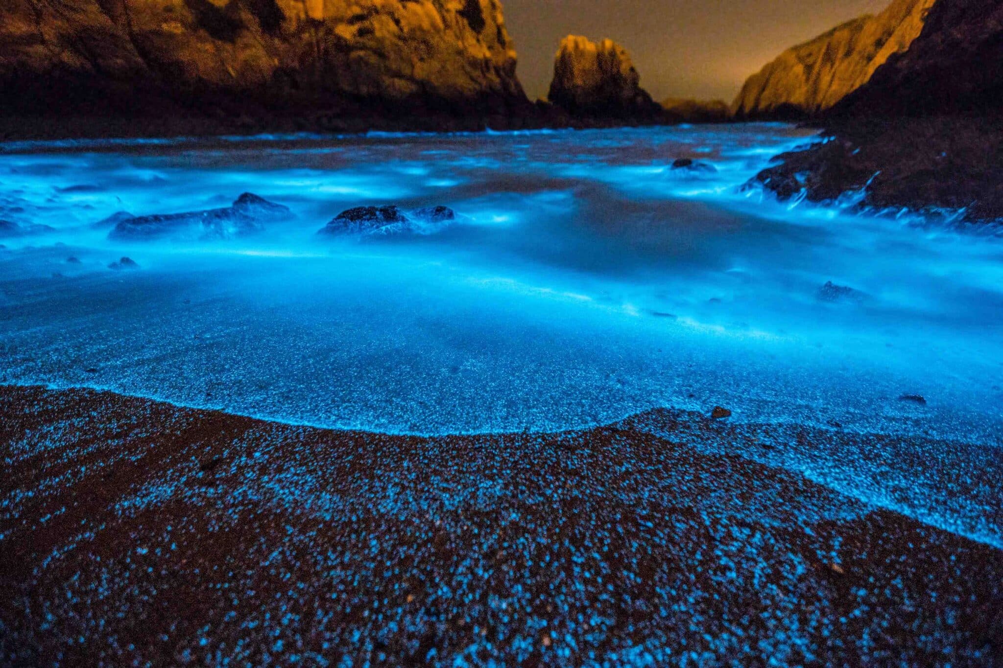 Where To See Bioluminescent Plankton
