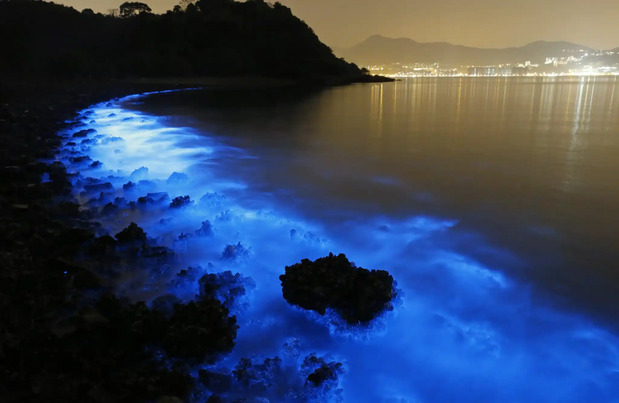  Discovering the Enchanting Bioluminescent Beach