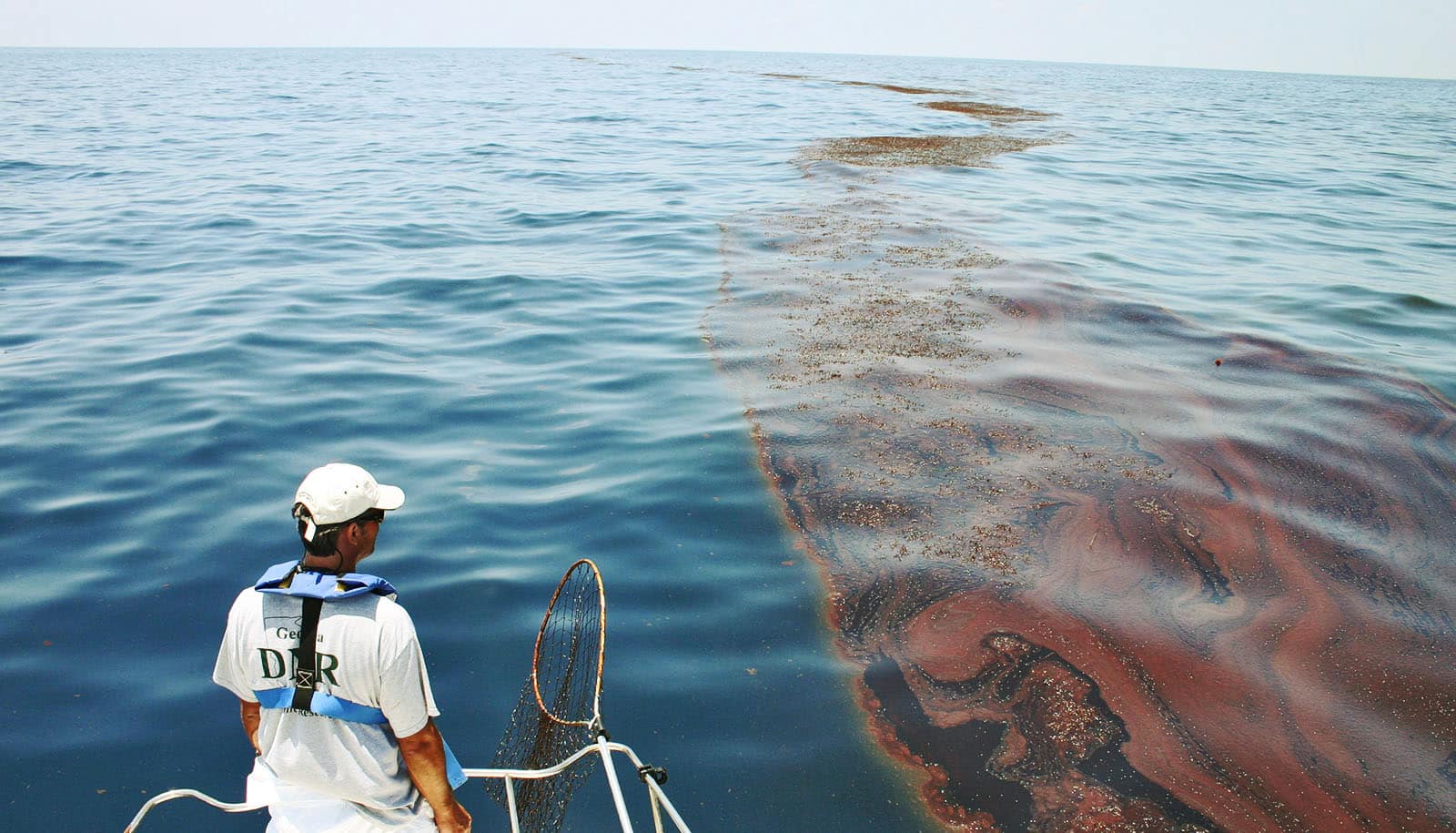 How Do Oil Spills Affect Marine Ecosystems