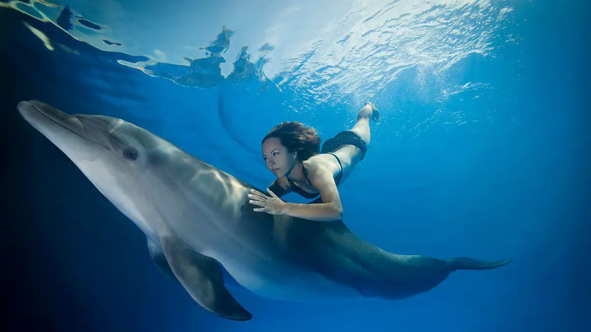 Do Dolphins Save Humans