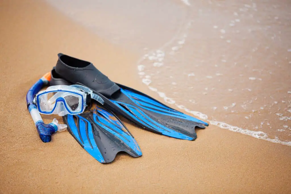  How To Clean Snorkel Gear