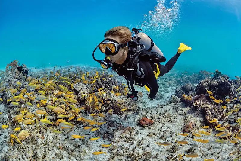 How To Use Snorkeling Gear