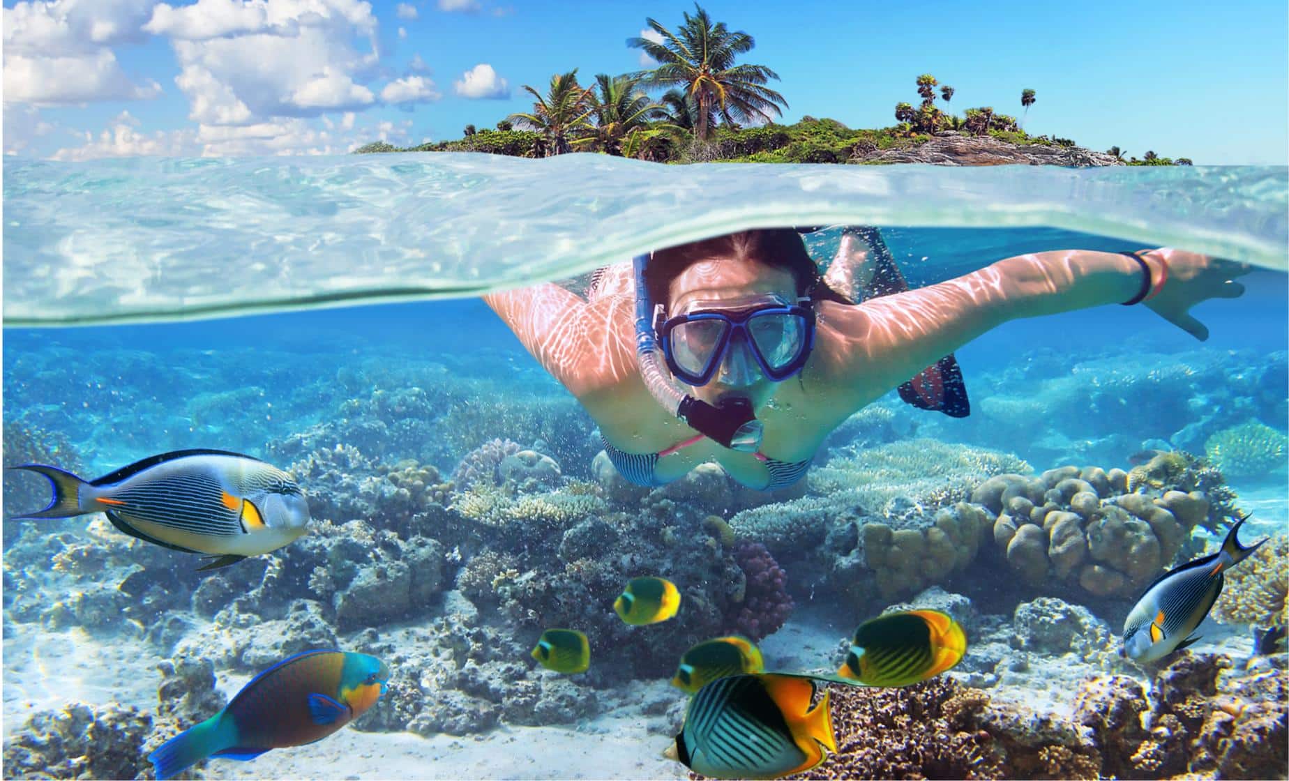  Is Aruba Good For Snorkeling