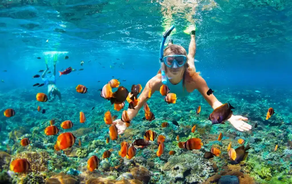 Is Aruba Good For Snorkeling