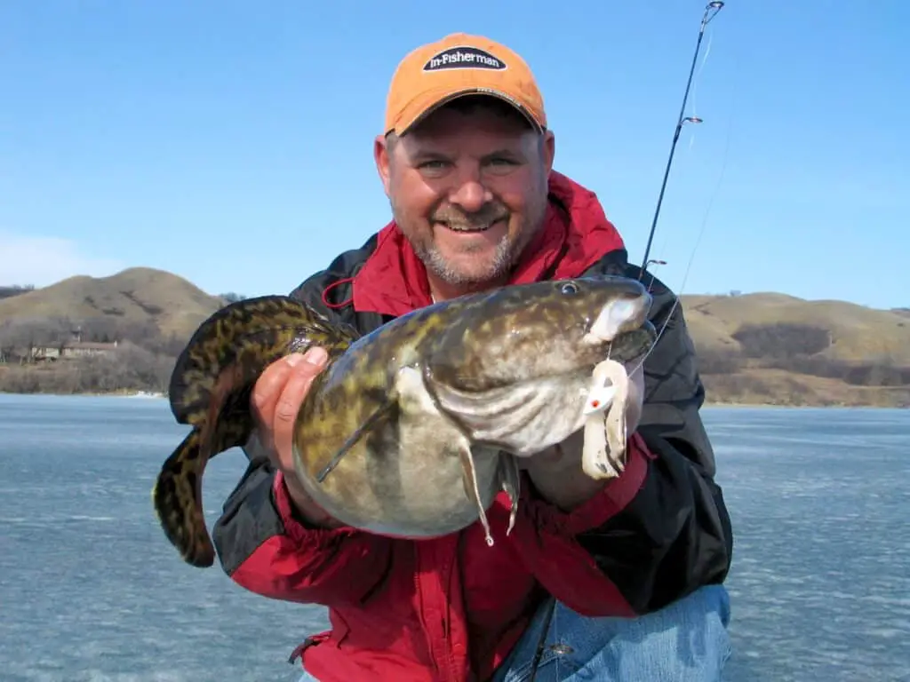 How To Catch Burbot Ice Fishing
