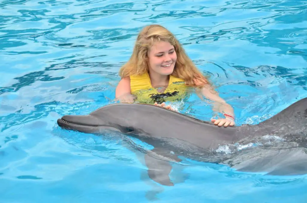 Is Swimming With Dolphins Safe