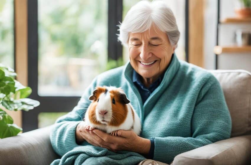  Caring for Elderly Guinea Pigs: A Comprehensive Guide
