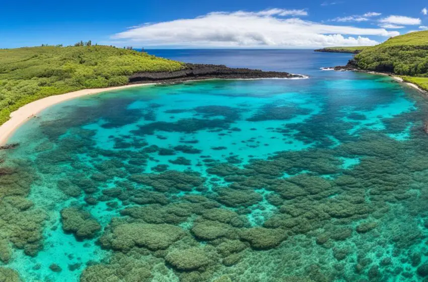  Preserving Paradise: Honolua Mokuleia Bay Marine Life Conservation District Uncovered!