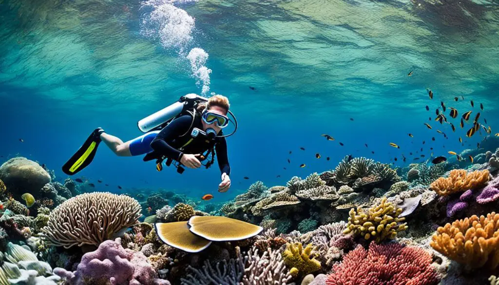Coral reef protection programs