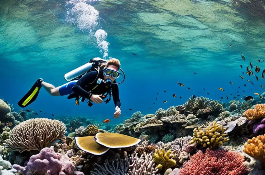  Coral Reef Protection Programs: Action for the Reef: Essential Coral Reef Protection Programs!