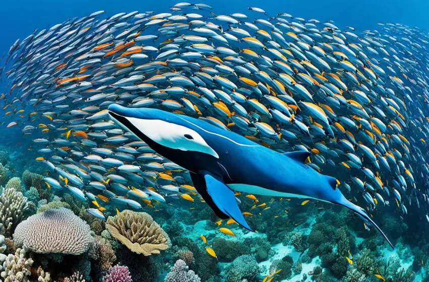  Marine Conservation Efforts: Together for the Ocean: Join the Global Marine Conservation Efforts!